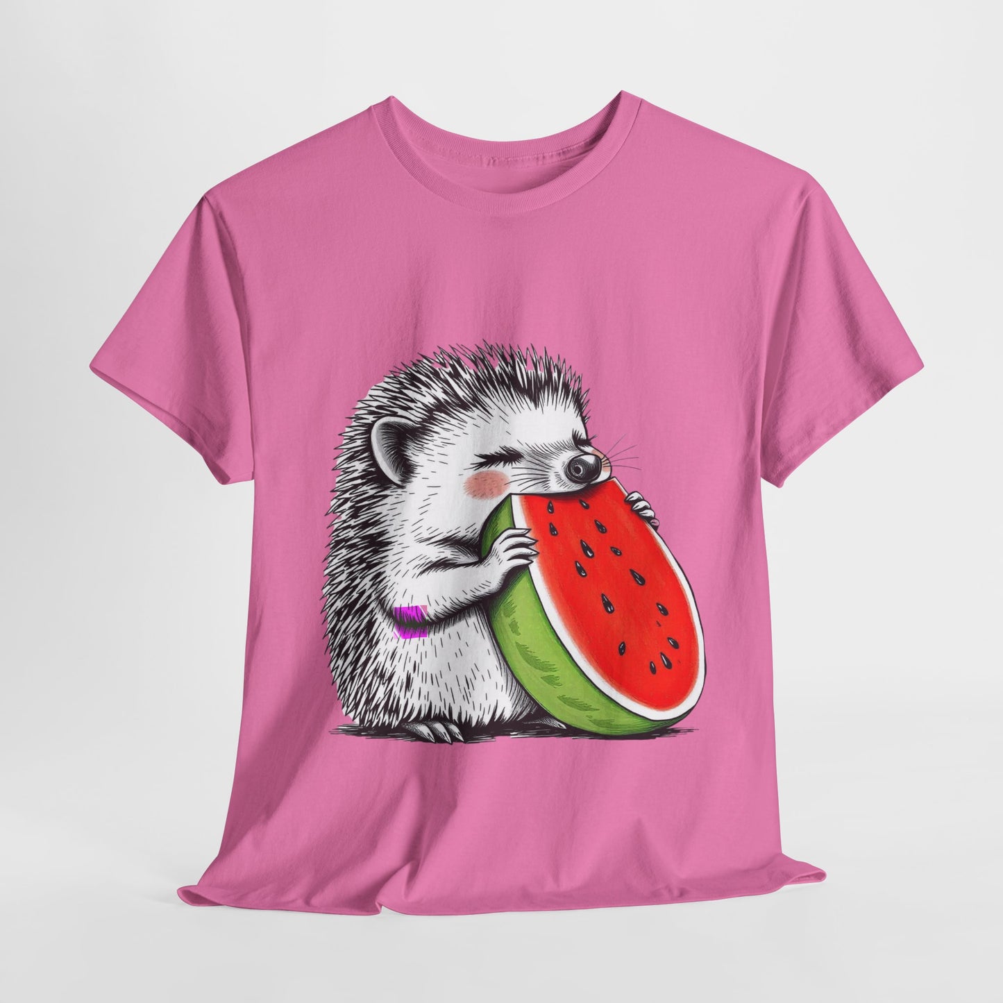 Colorful Hedgehog T-Shirt, Cute Animal Eating Watermelon Tee, Unisex Graphic Shirt, Summer Fashion Top, Casual Wear, Gift Idea